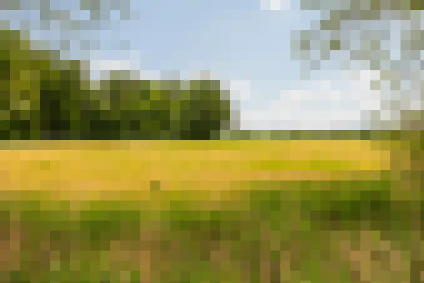 Kasteelweg 12 Kring van Dorth thumbnail 88