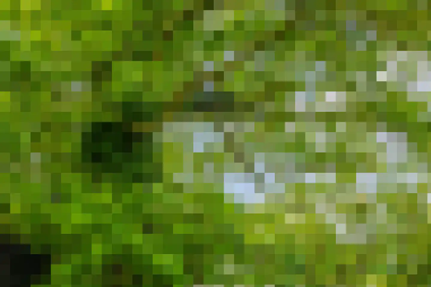 Kasteelweg 12 Kring van Dorth thumbnail 89