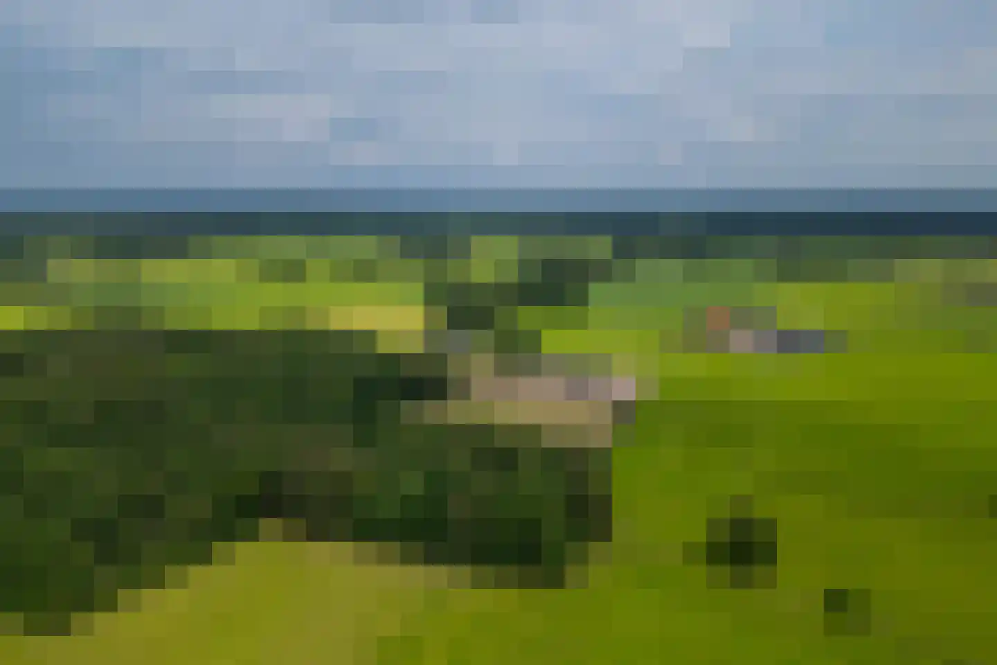 Kasteelweg 12 Kring van Dorth thumbnail 90