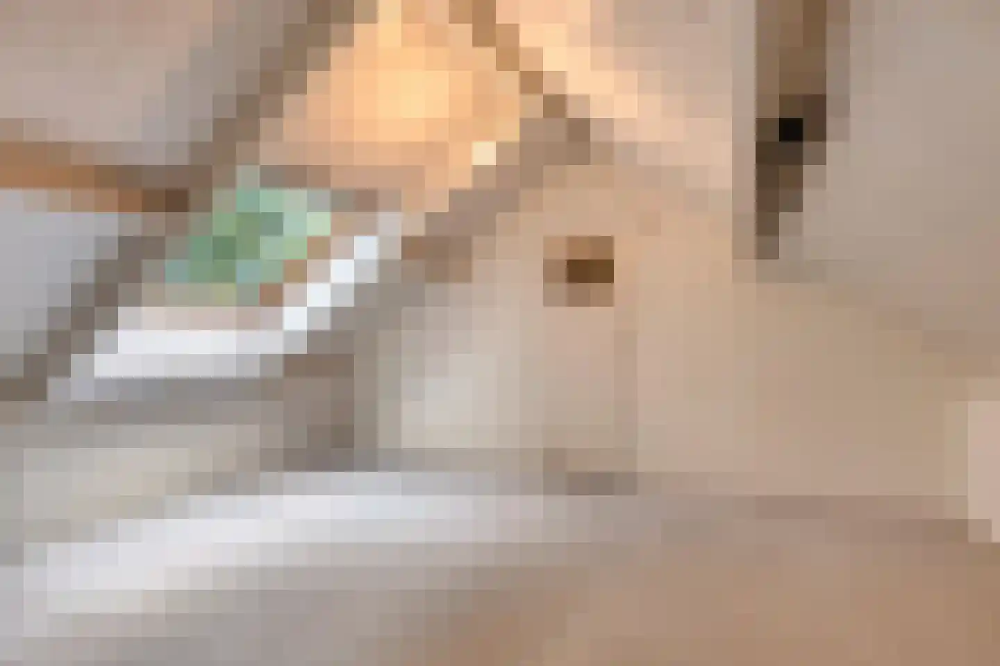 Kasteelweg 16 Mierlo thumbnail 29