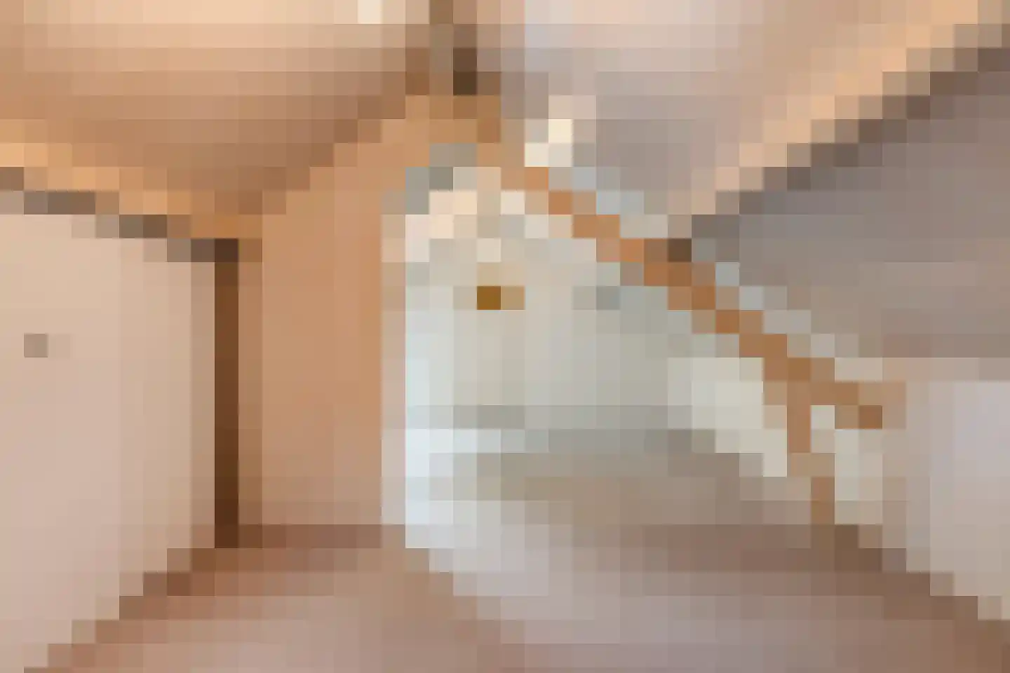 Kasteelweg 16 Mierlo thumbnail 31