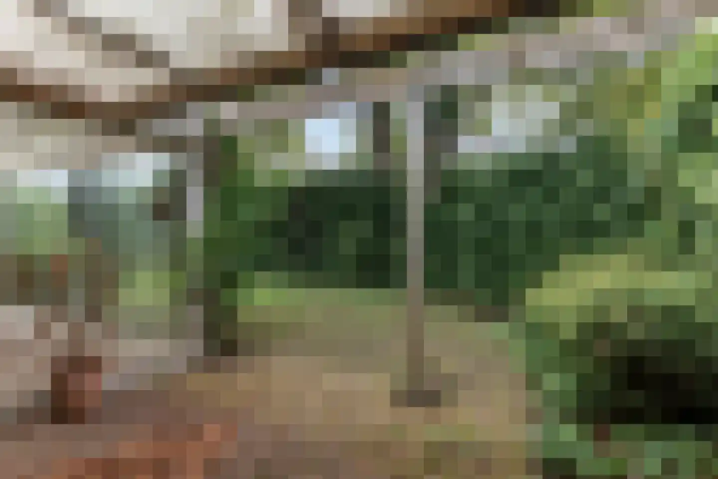 Kasteelweg 16 Mierlo thumbnail 35