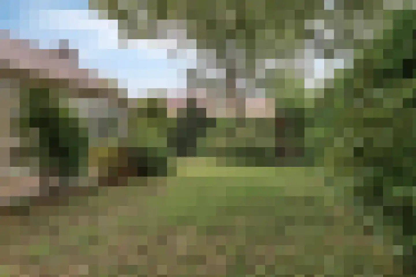 Kasteelweg 16 Mierlo thumbnail 36