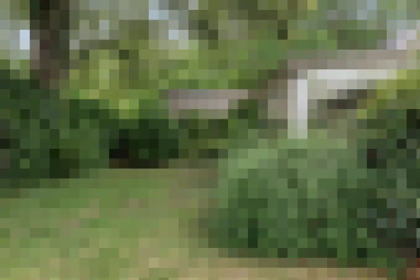 Kasteelweg 16 Mierlo thumbnail 37