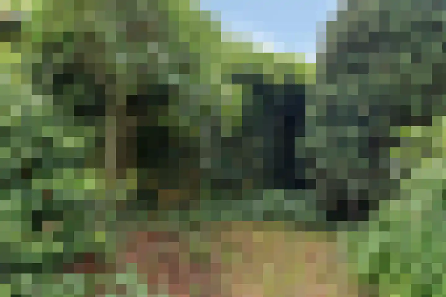 Kasteelweg 16 Mierlo thumbnail 43