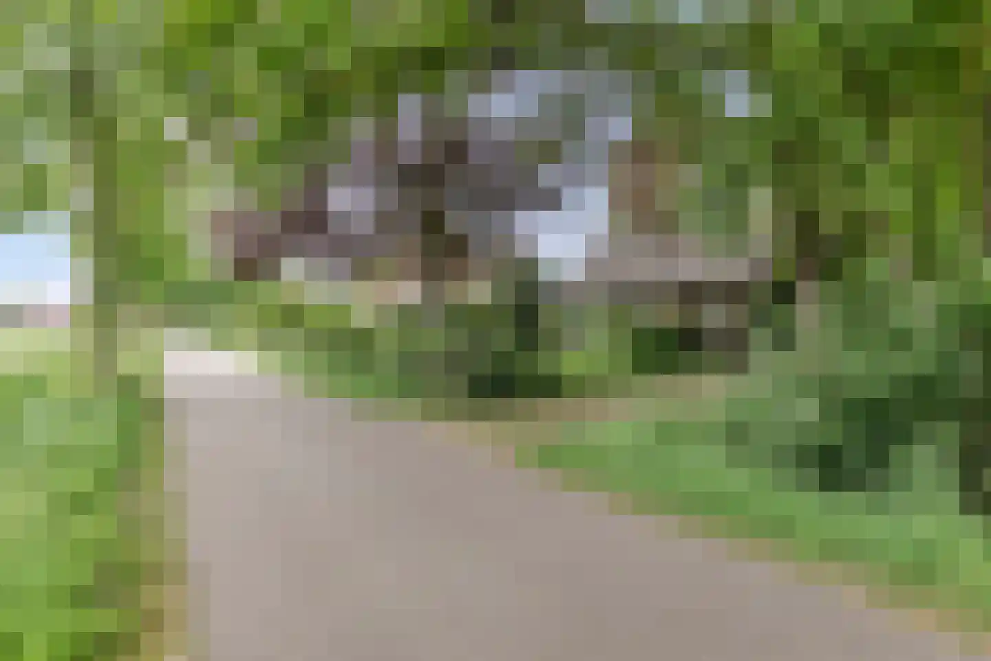 Kasteelweg 16 Mierlo thumbnail 5