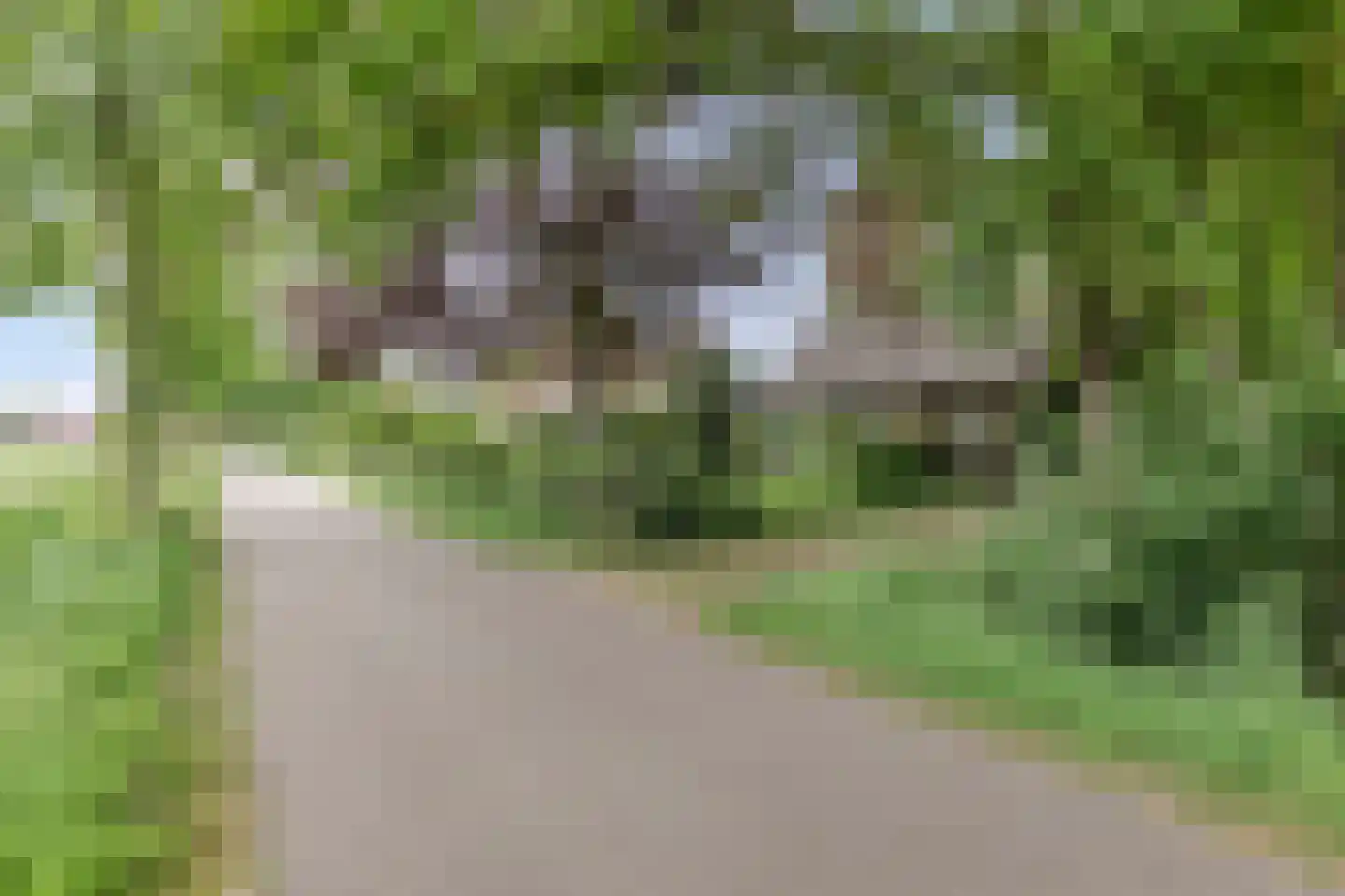 Kasteelweg 16 Mierlo thumbnail 5