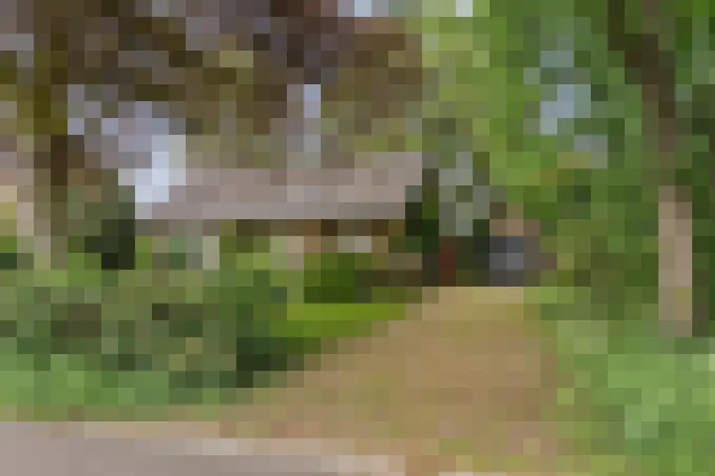 Kasteelweg 16 Mierlo thumbnail 6