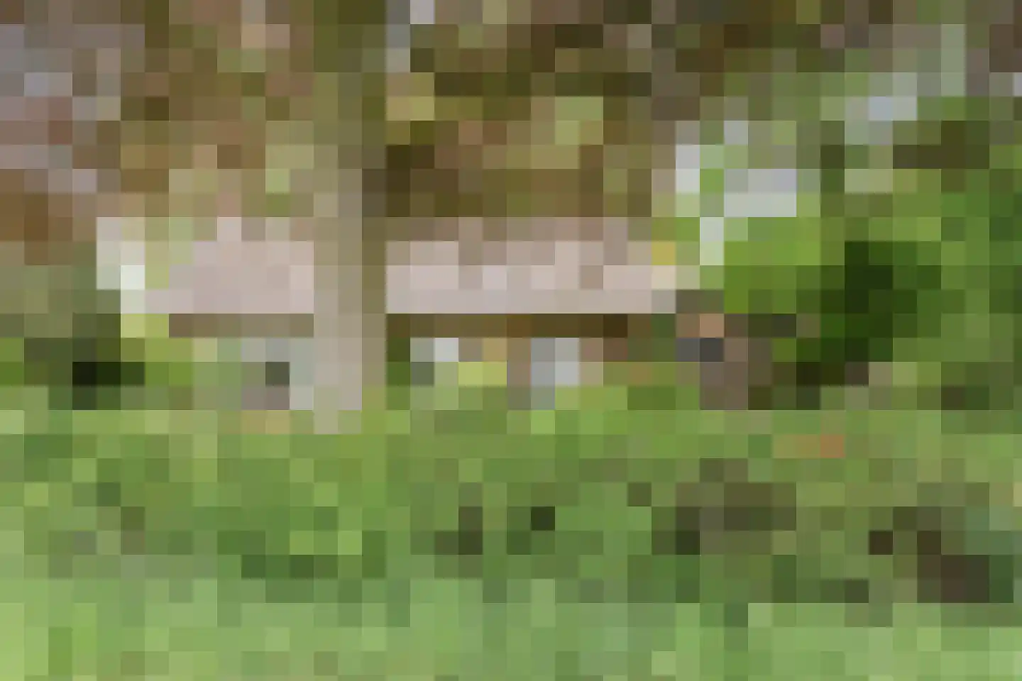 Kasteelweg 16 Mierlo thumbnail 7