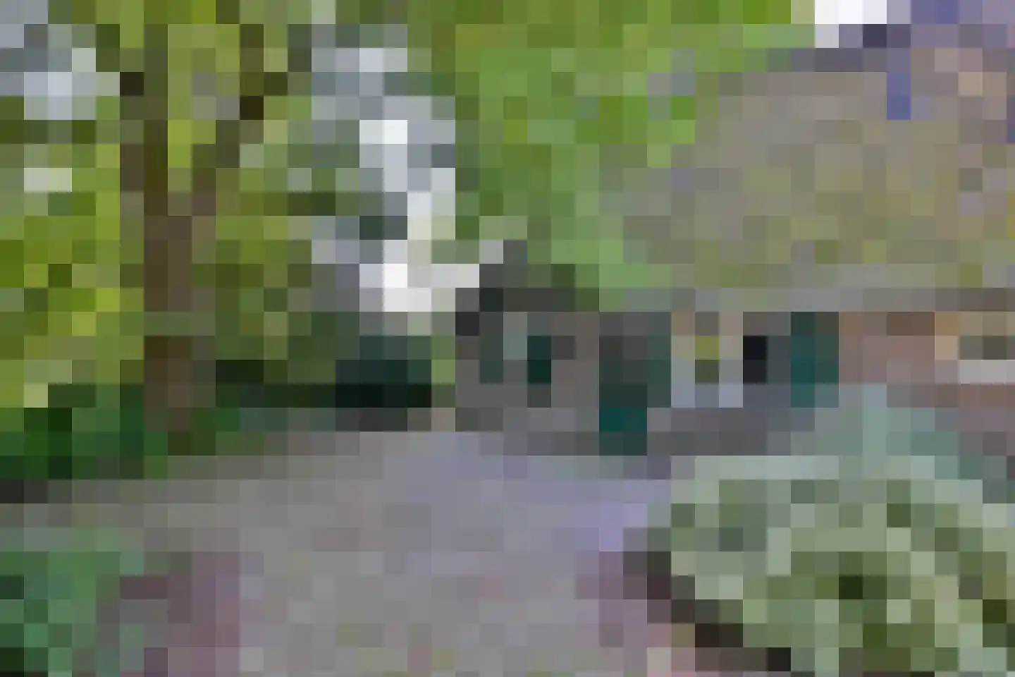 Kasteelweg 18 Kring van Dorth thumbnail 10