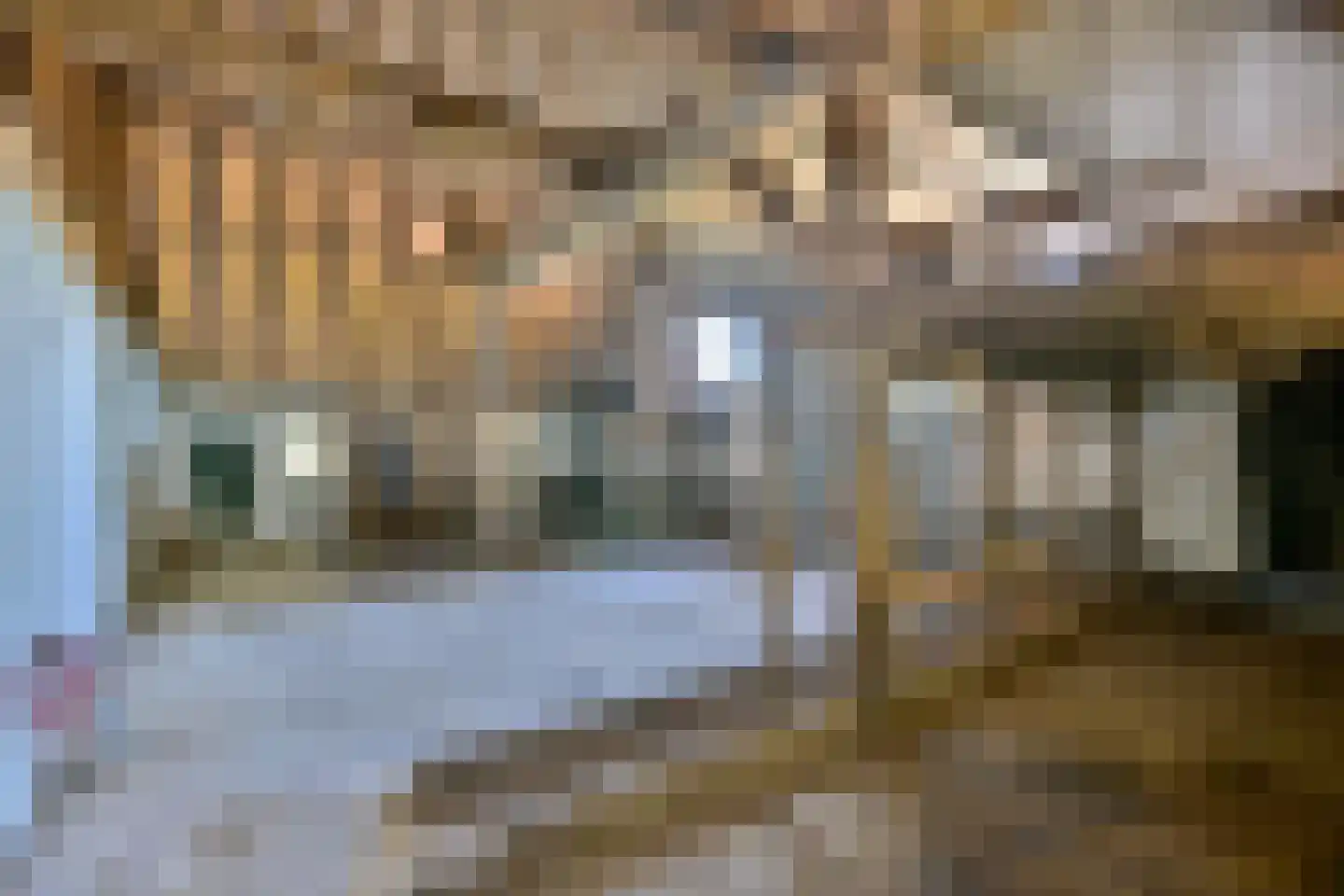 Kasteelweg 18 Kring van Dorth thumbnail 25