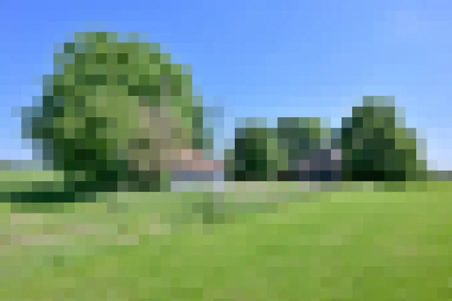 Kasteelweg 18 Kring van Dorth thumbnail 30