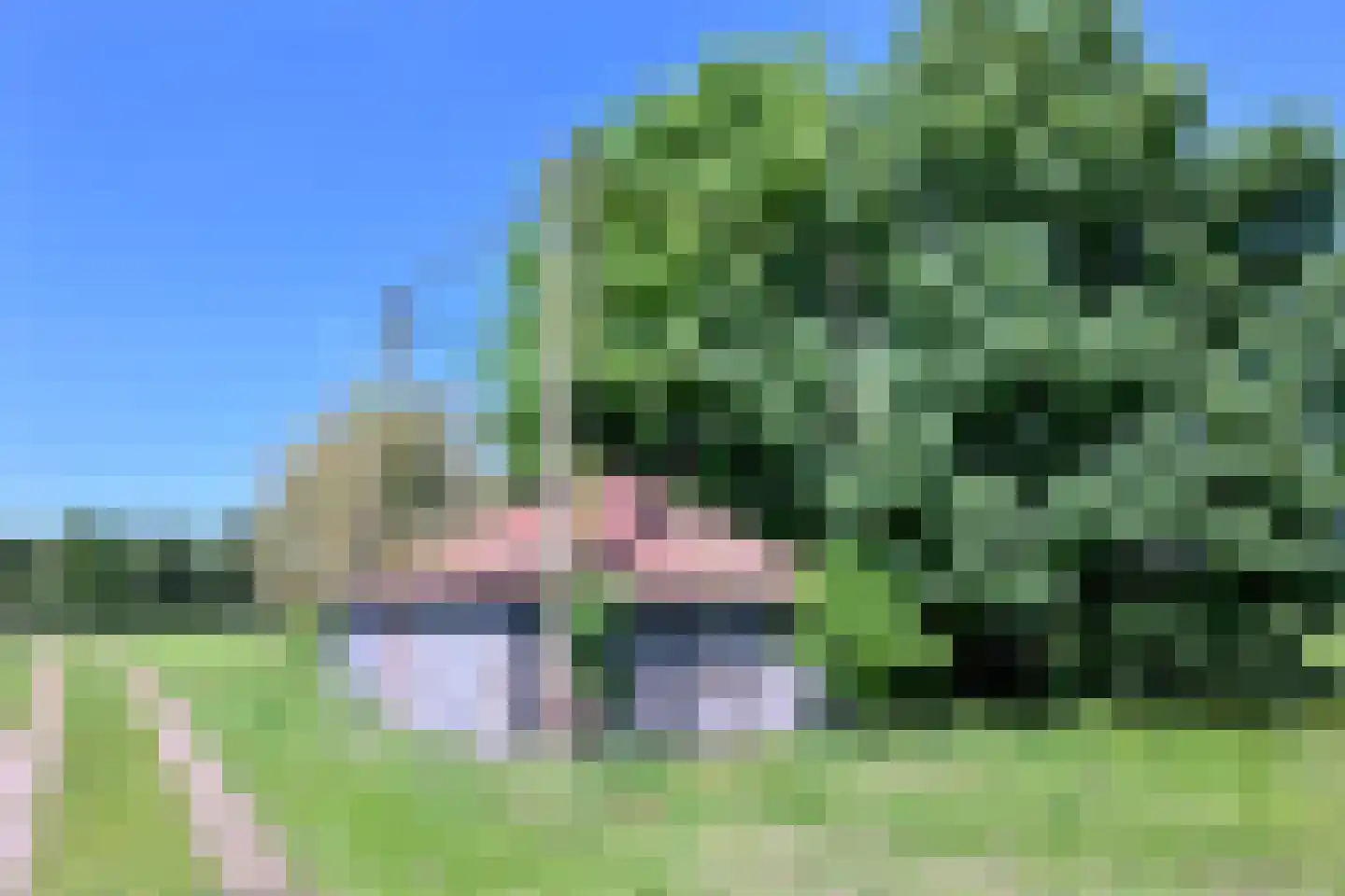 Kasteelweg 18 Kring van Dorth thumbnail 32