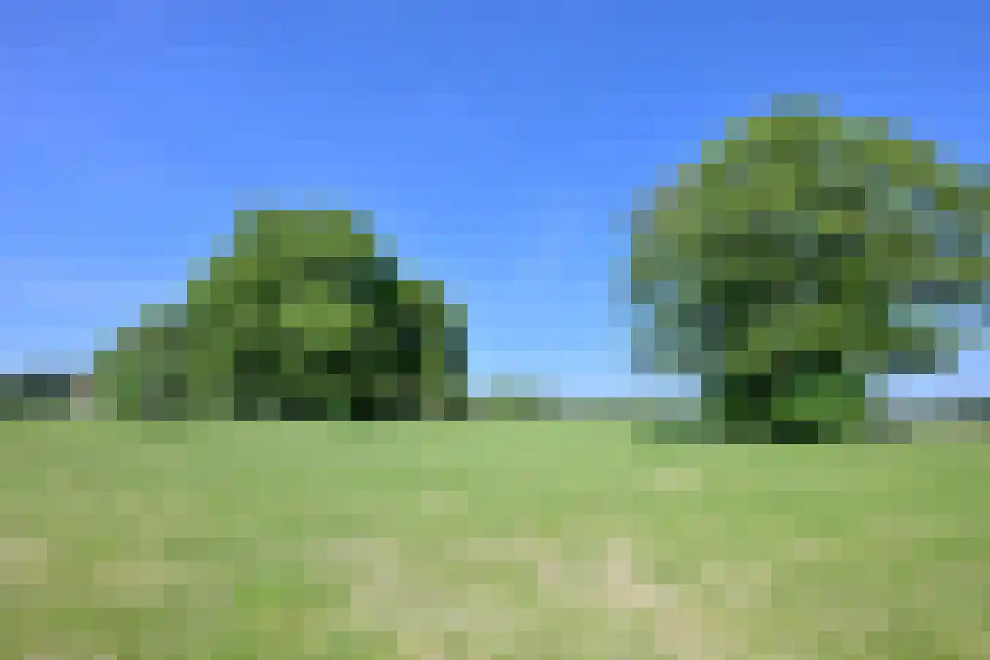 Kasteelweg 18 Kring van Dorth thumbnail 33