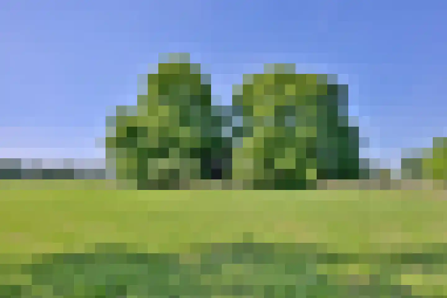 Kasteelweg 18 Kring van Dorth thumbnail 34