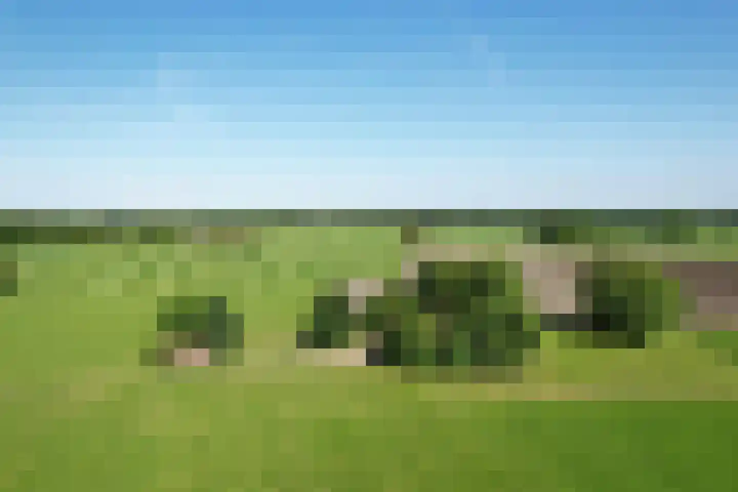 Kasteelweg 18 Kring van Dorth thumbnail 5