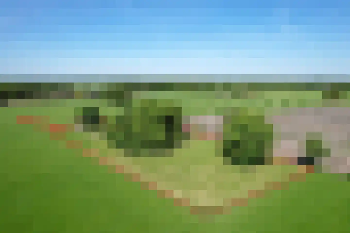 Kasteelweg 18 Kring van Dorth thumbnail 6