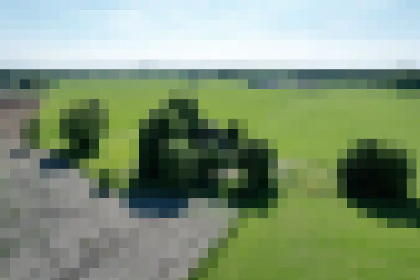 Kasteelweg 18 Kring van Dorth thumbnail 7