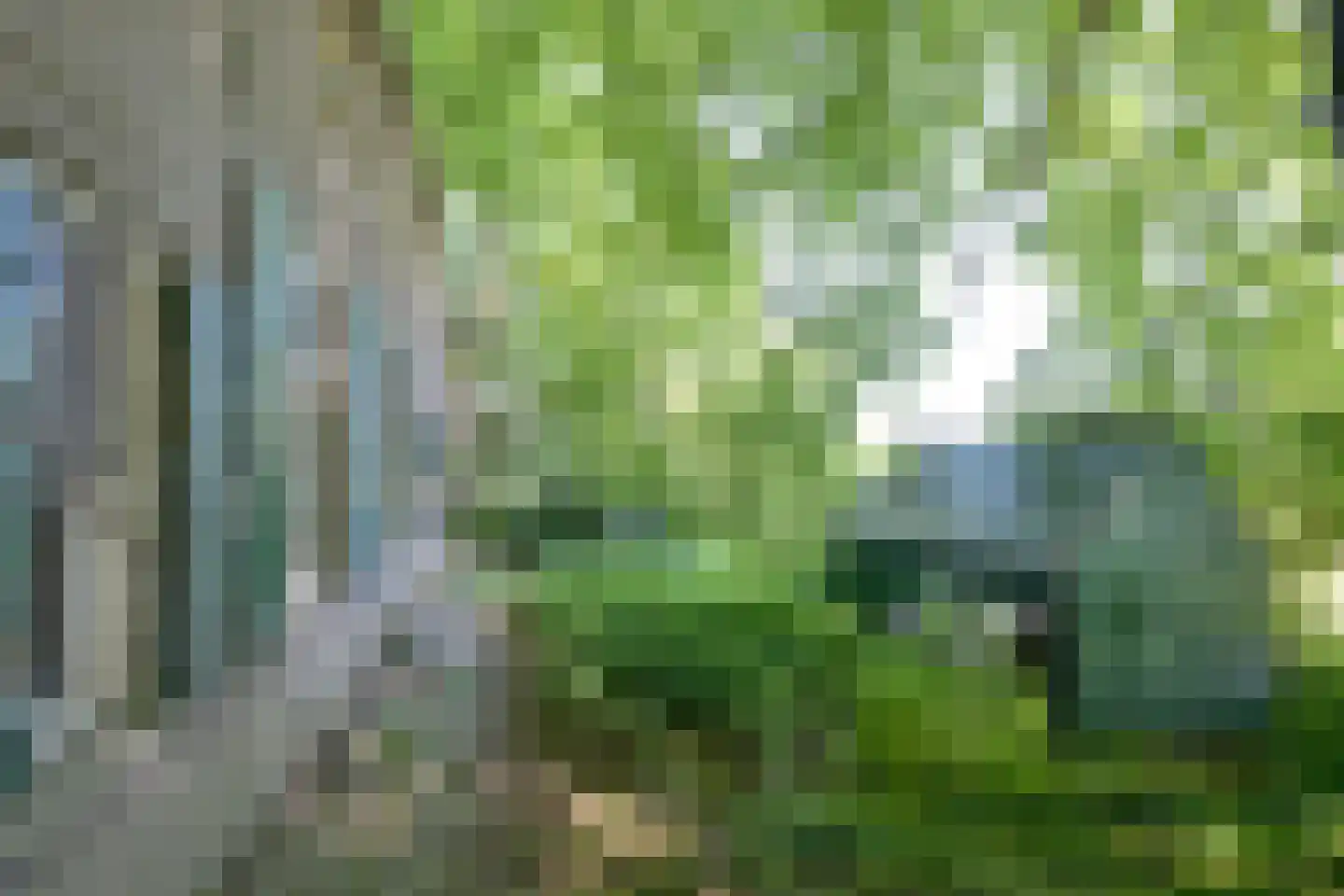 Kasteelweg 18 Kring van Dorth thumbnail 8