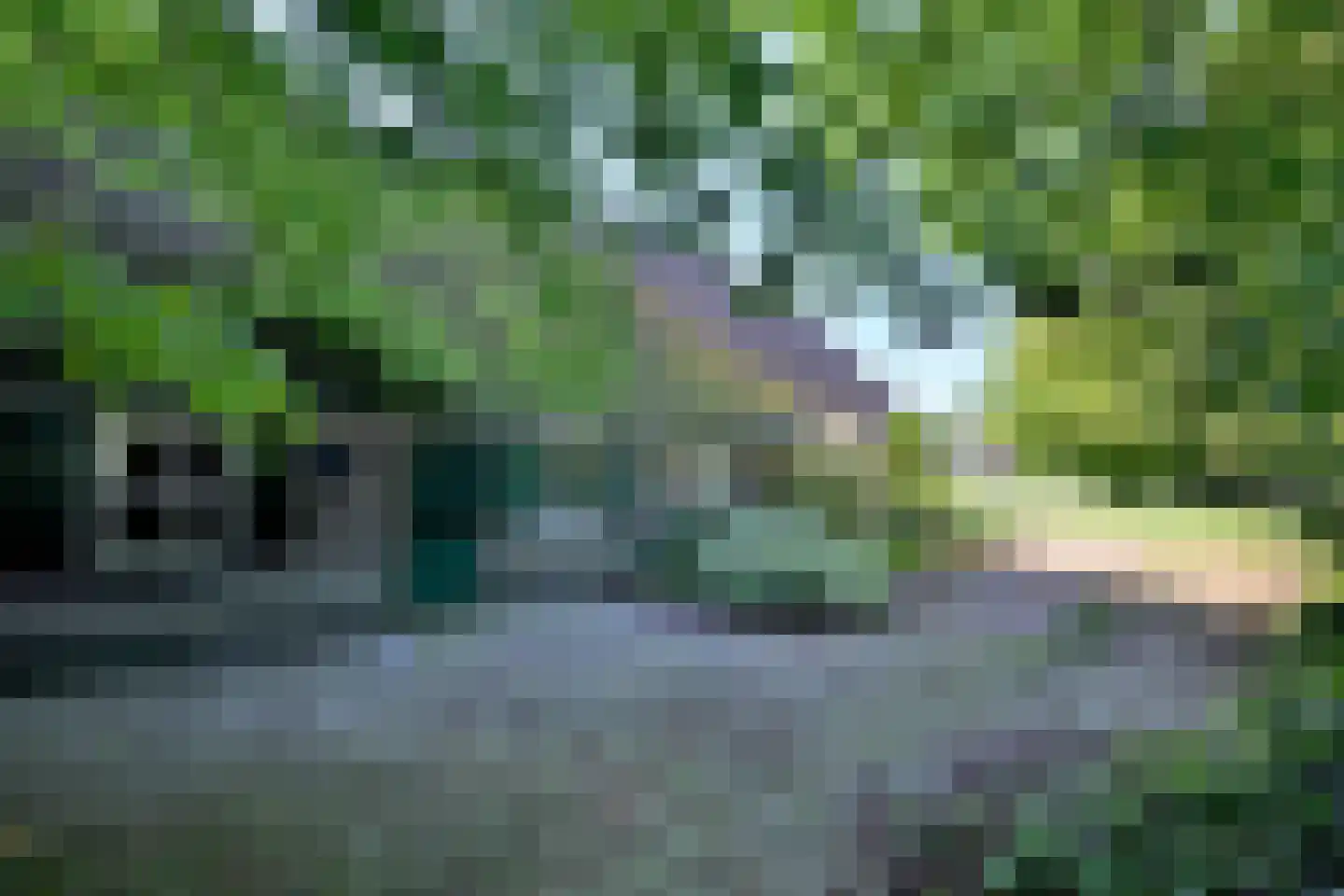 Kasteelweg 18 Kring van Dorth thumbnail 9