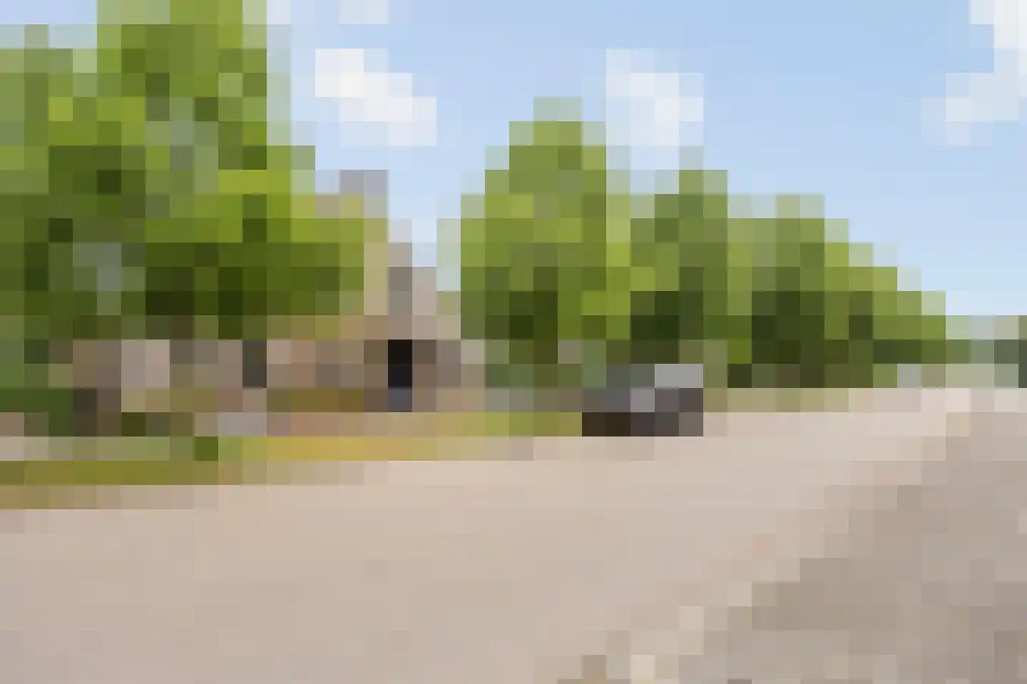 Kasteelweg 55 Echt thumbnail 11