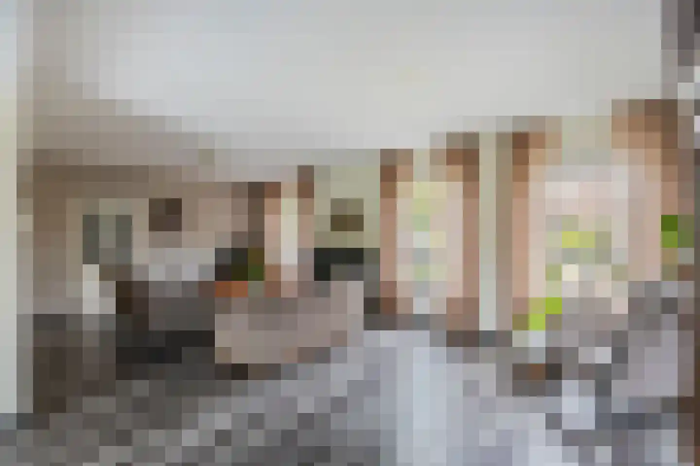 Kasteelweg 55 Echt thumbnail 24