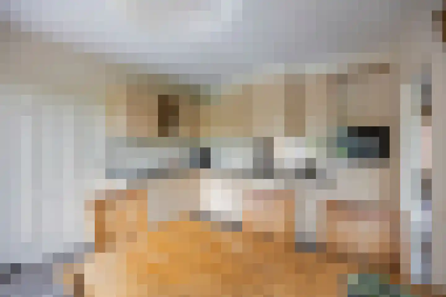 Kasteelweg 55 Echt thumbnail 31