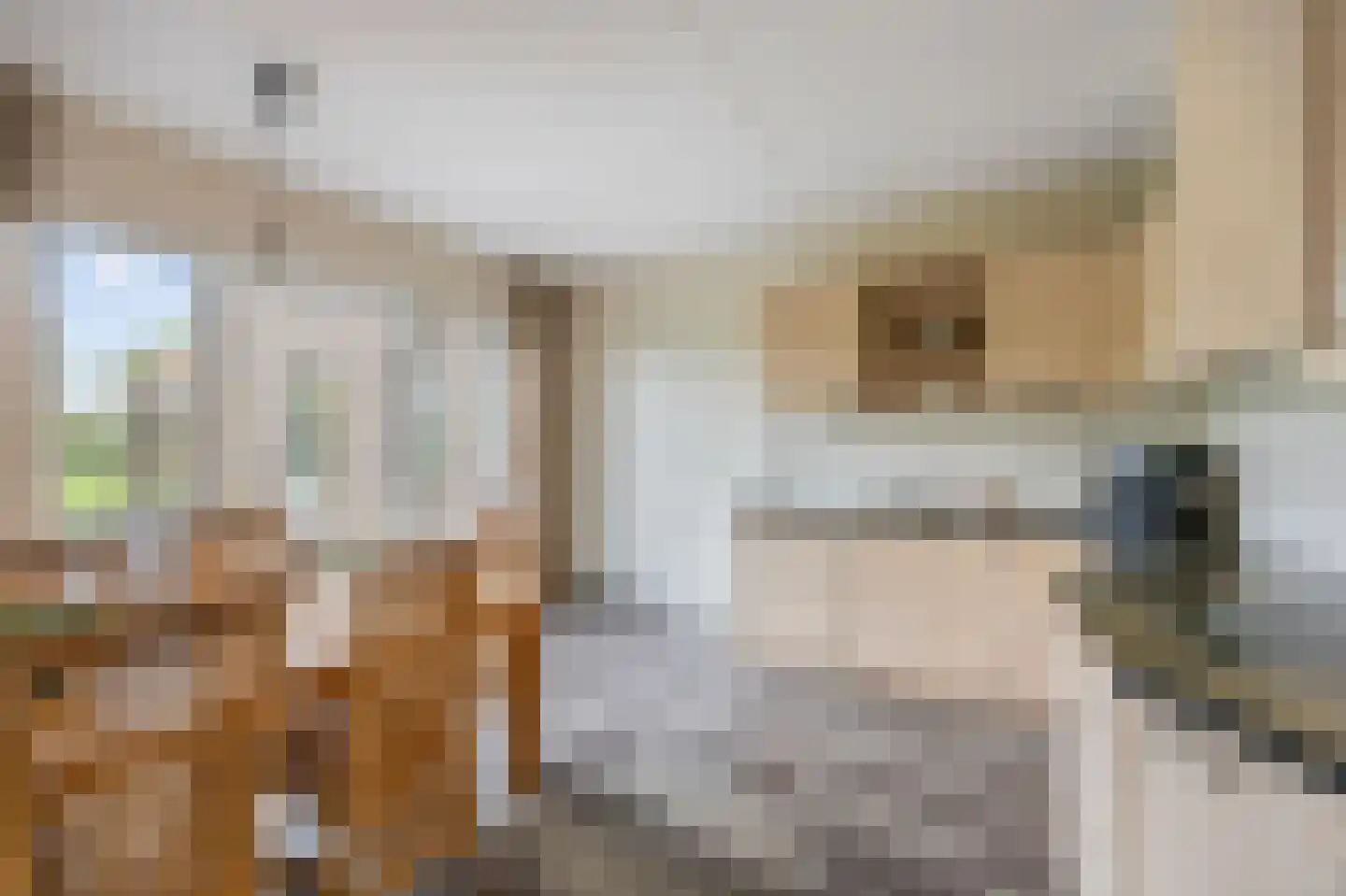 Kasteelweg 55 Echt thumbnail 32