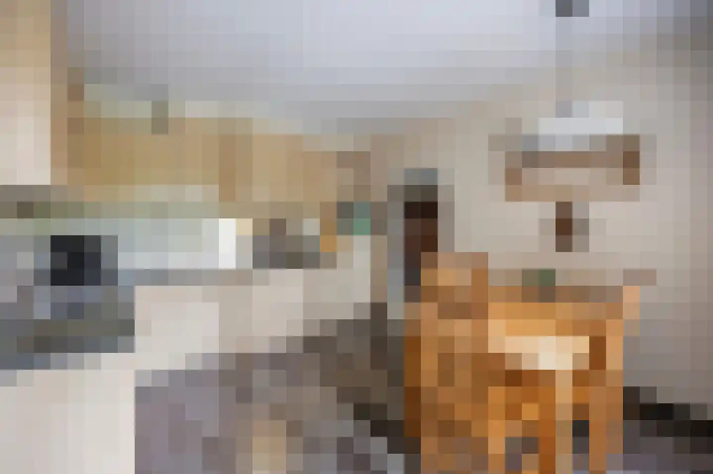 Kasteelweg 55 Echt thumbnail 33