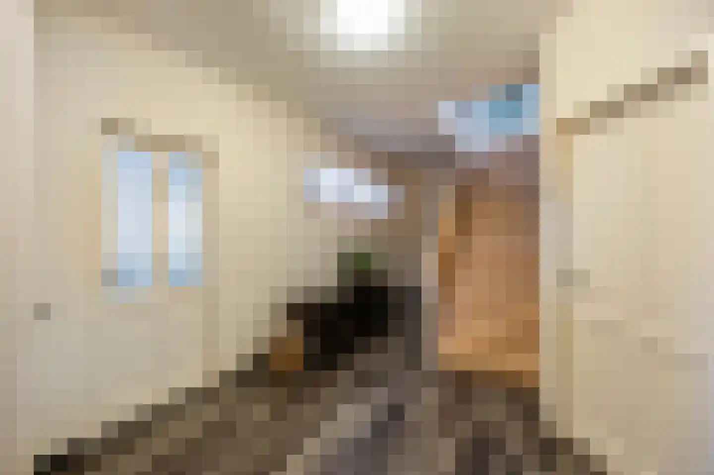 Kasteelweg 55 Echt thumbnail 34