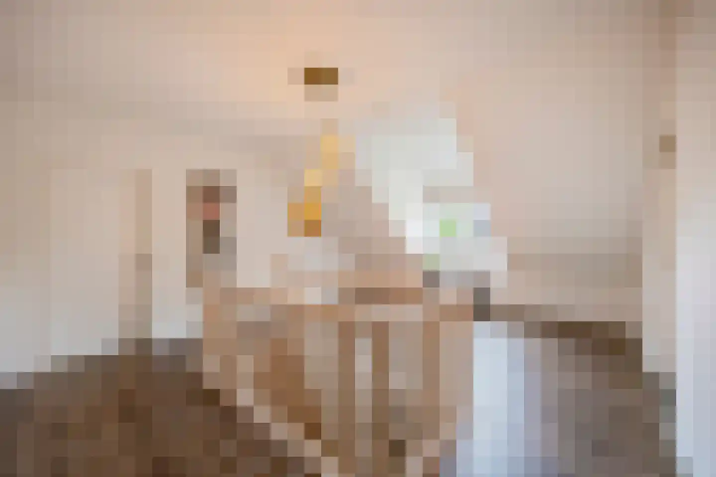 Kasteelweg 55 Echt thumbnail 45