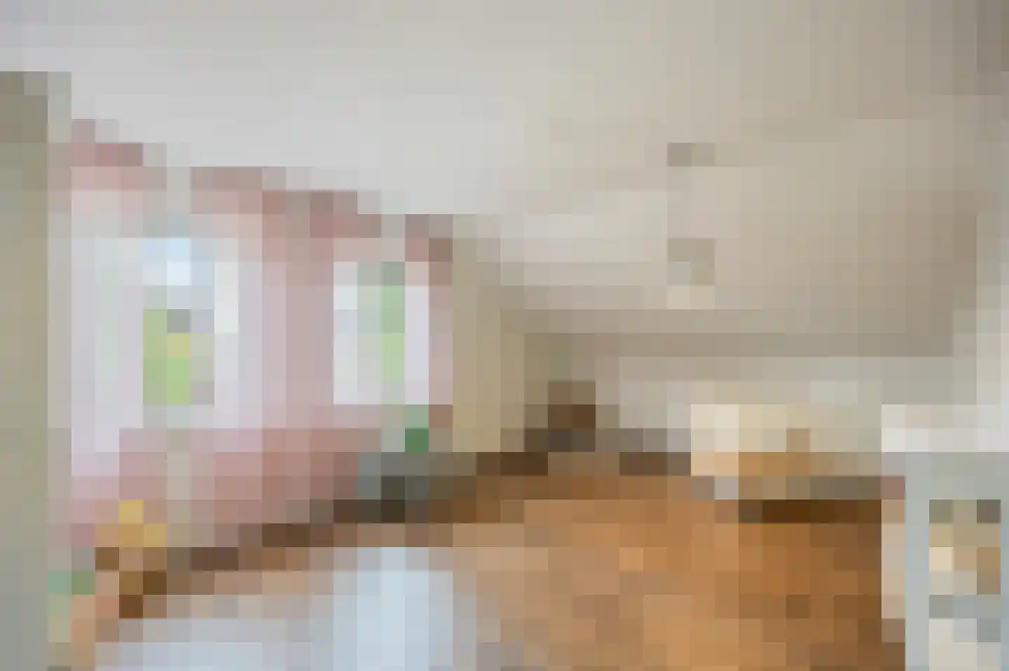 Kasteelweg 55 Echt thumbnail 48