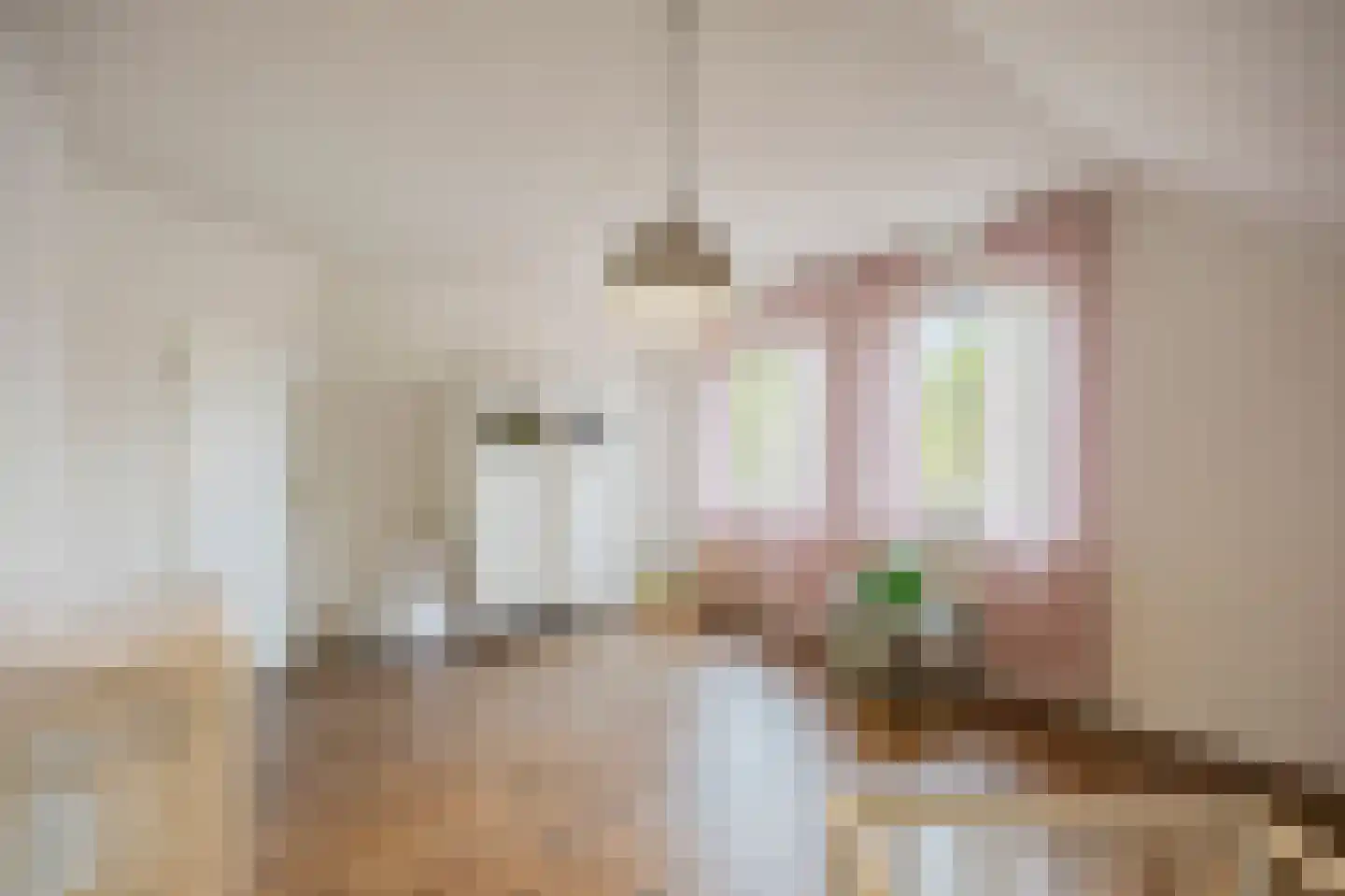 Kasteelweg 55 Echt thumbnail 49