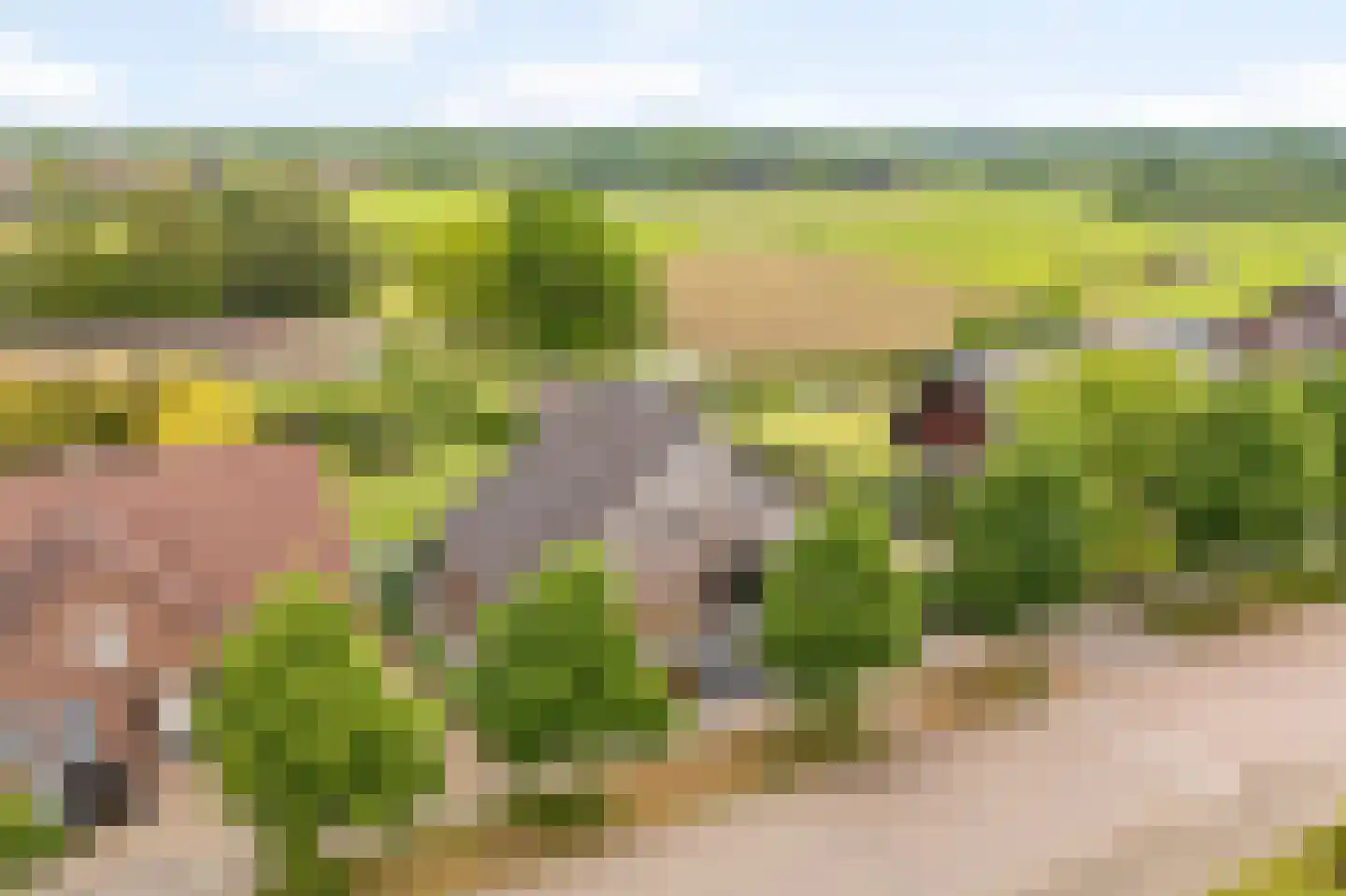 Kasteelweg 55 Echt thumbnail 5