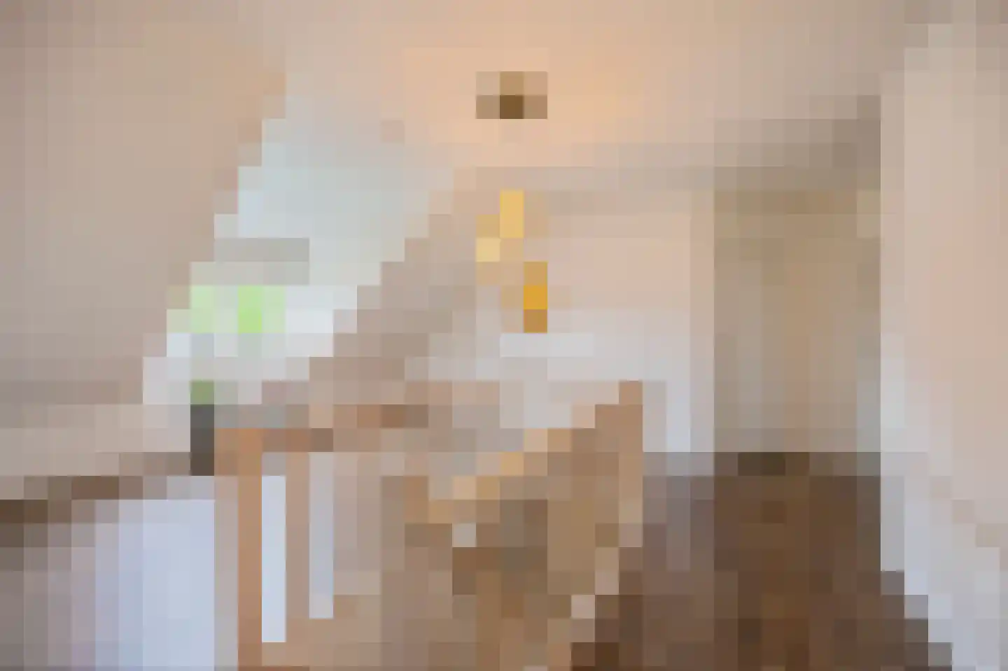 Kasteelweg 55 Echt thumbnail 57