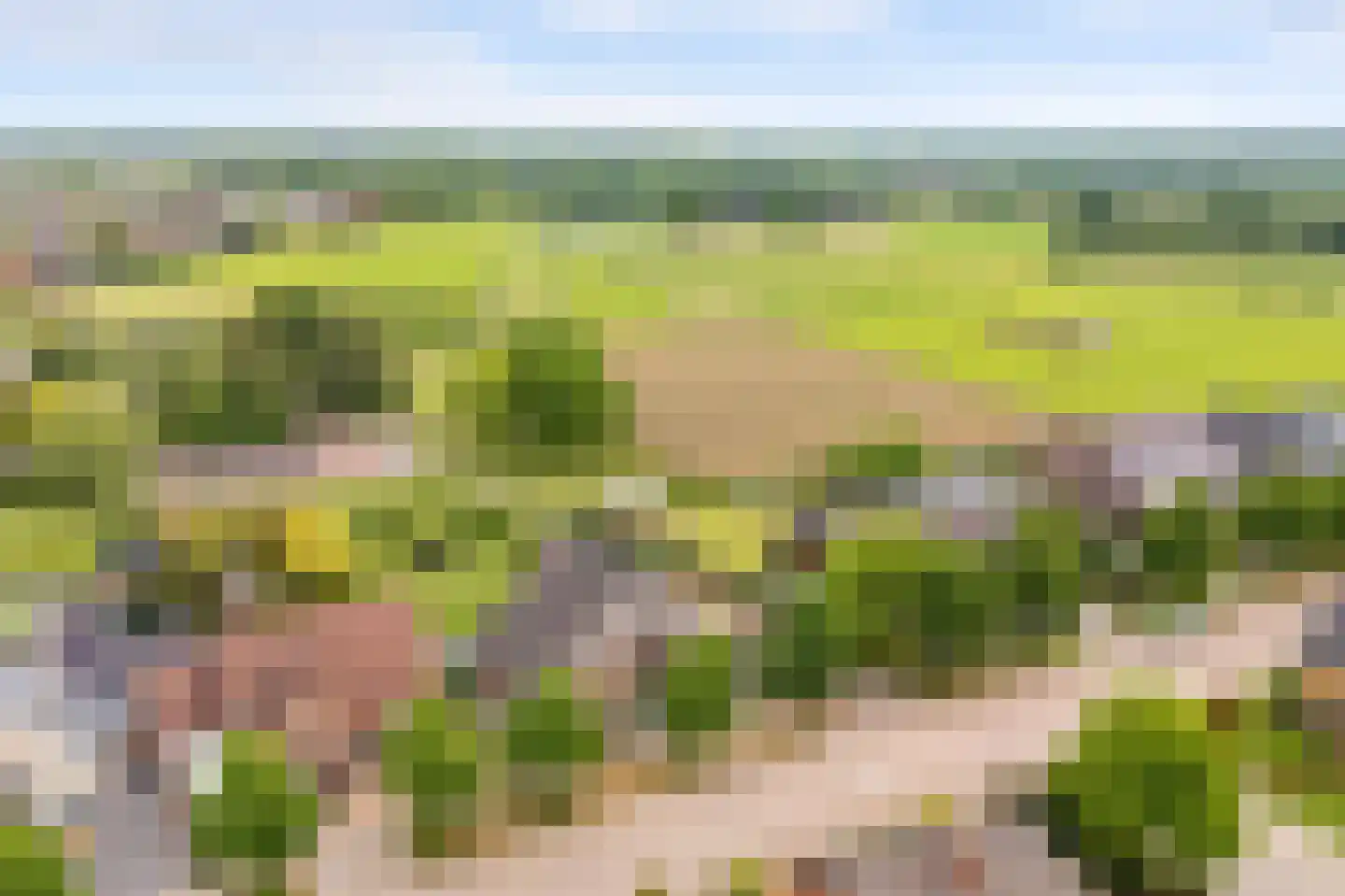 Kasteelweg 55 Echt thumbnail 6