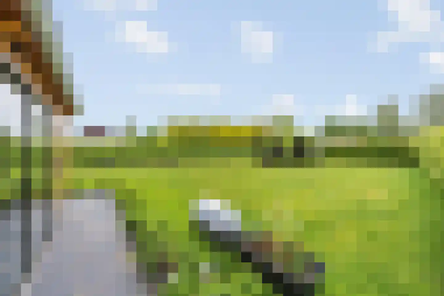 Kasteelweg 55 Echt thumbnail 63