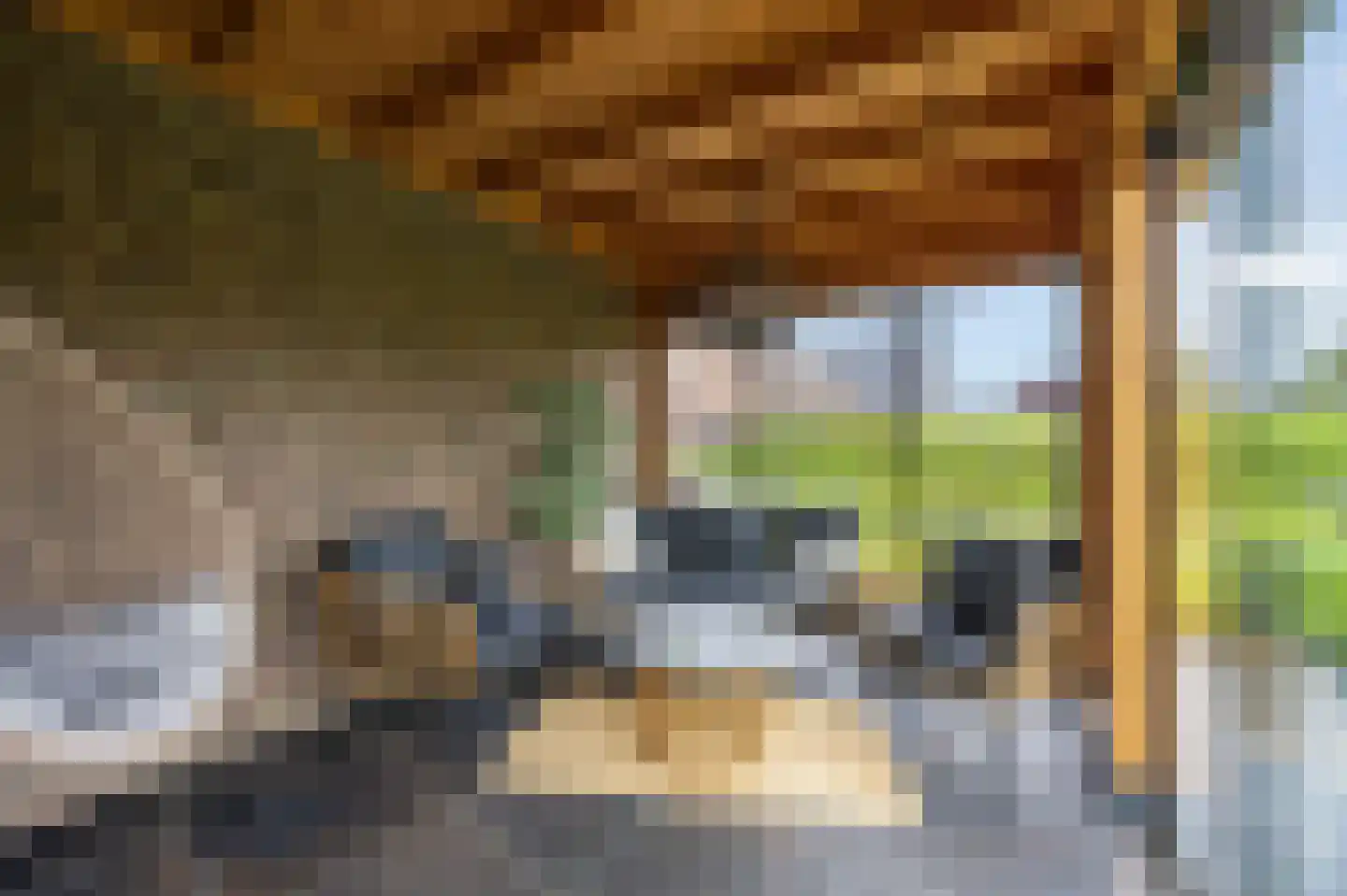Kasteelweg 55 Echt thumbnail 64