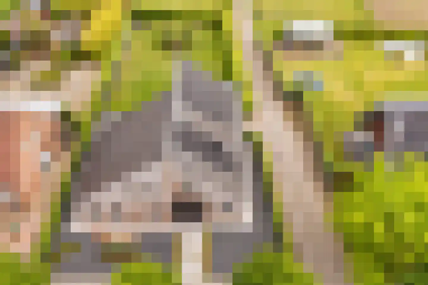 Kasteelweg 55 Echt thumbnail 7