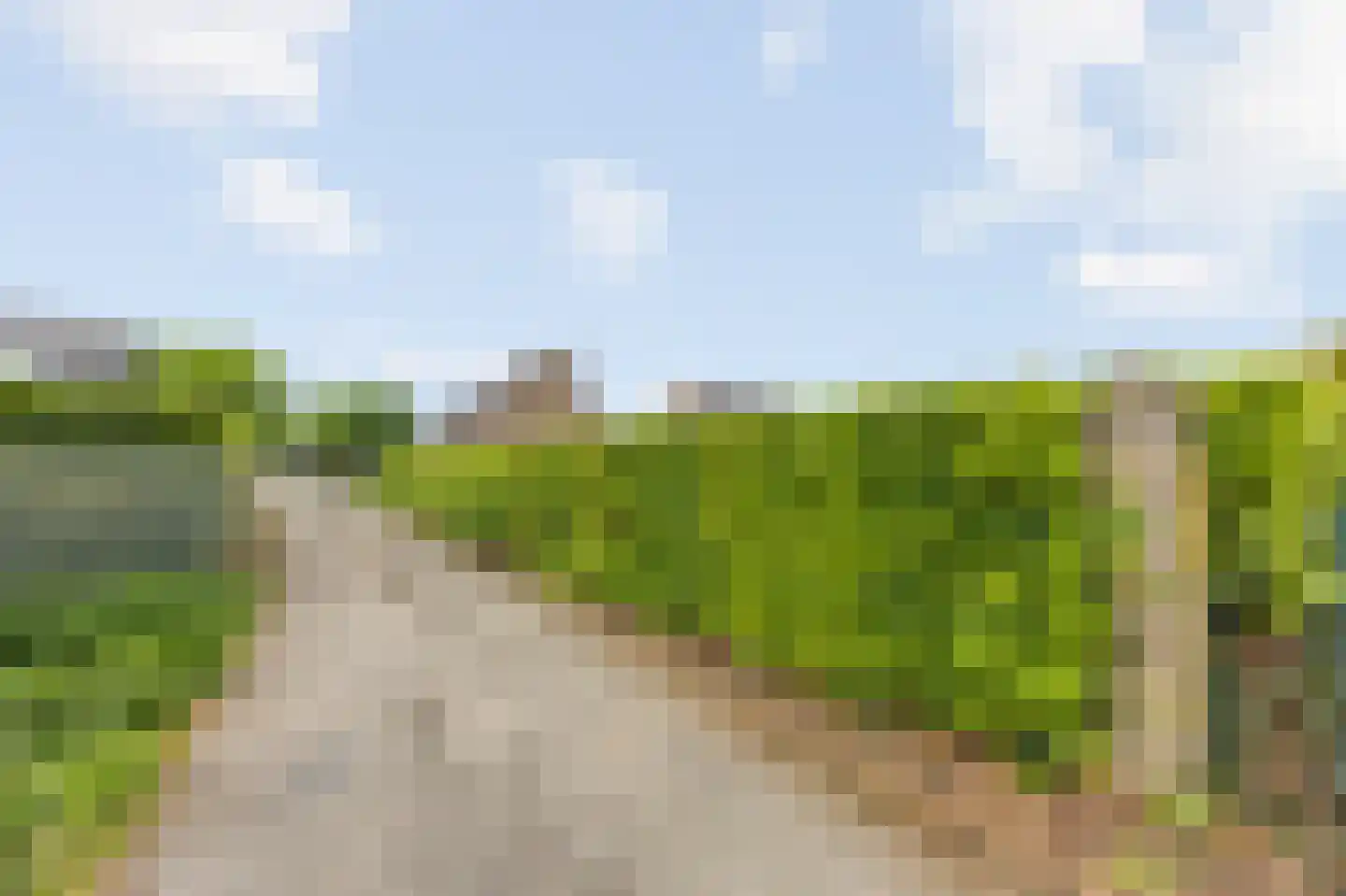 Kasteelweg 55 Echt thumbnail 71