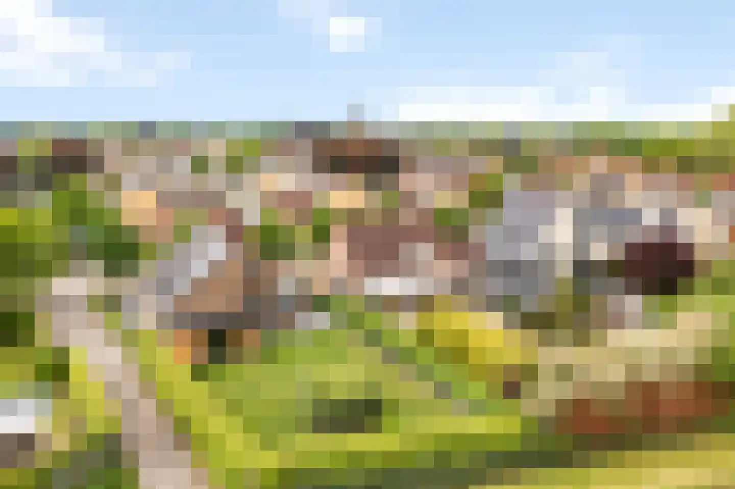 Kasteelweg 55 Echt thumbnail 74