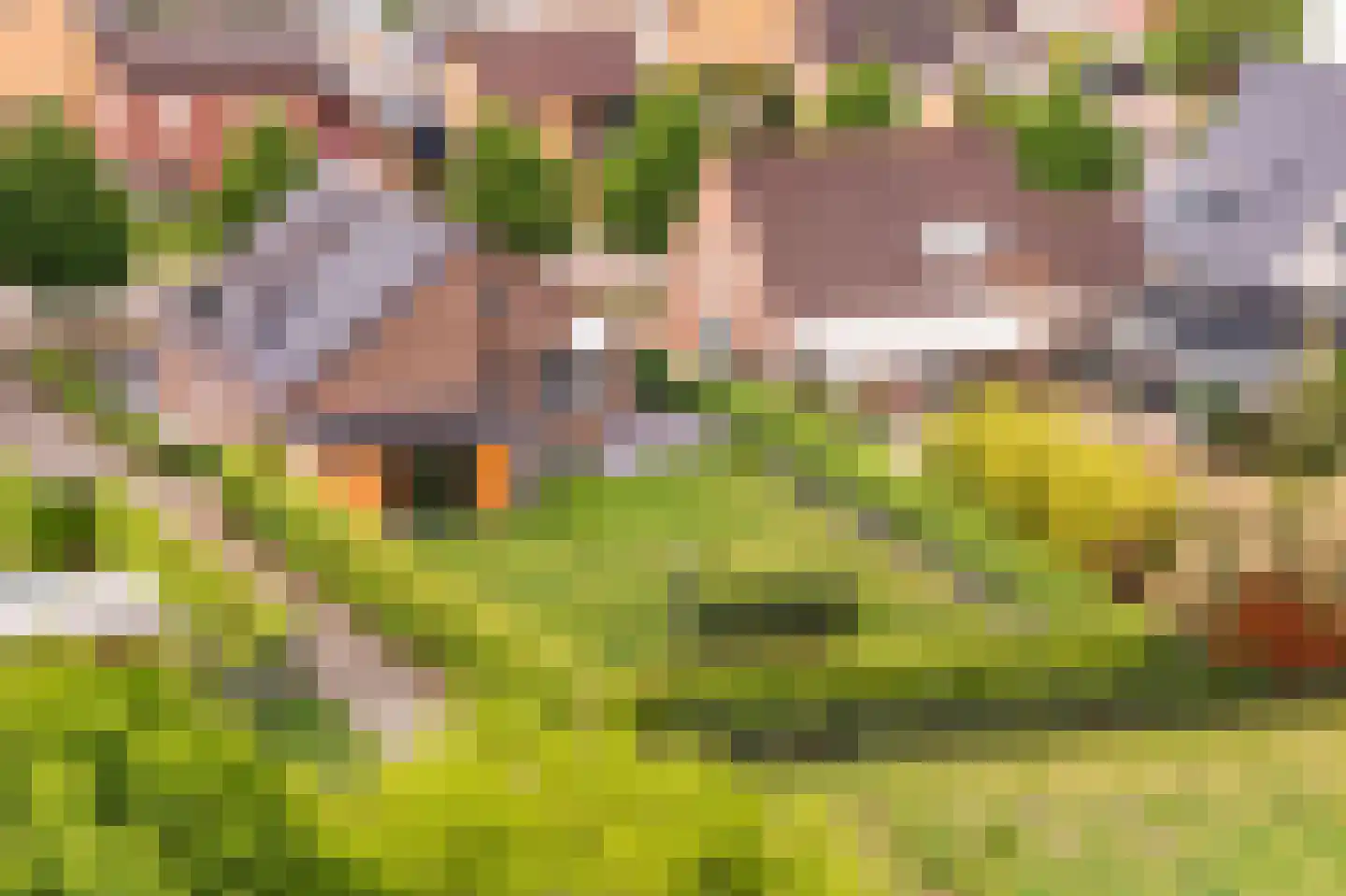 Kasteelweg 55 Echt thumbnail 75