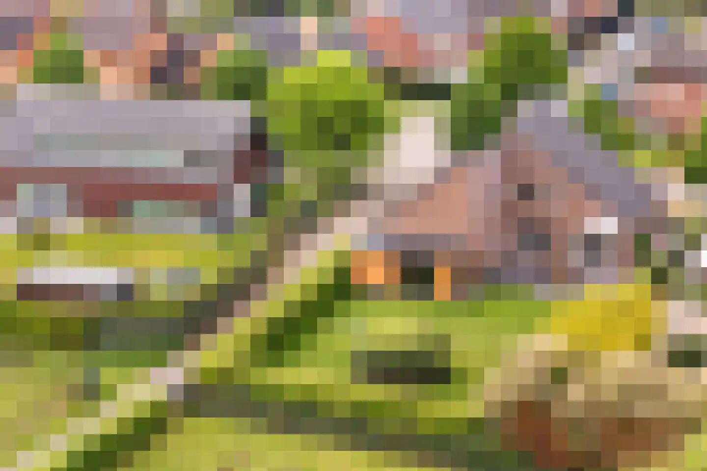 Kasteelweg 55 Echt thumbnail 76