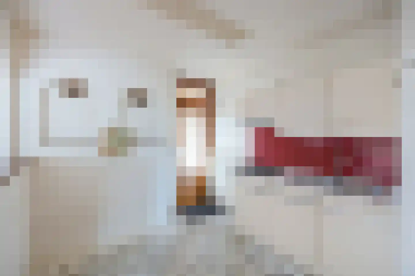 Kasteelweg 56 Echt thumbnail 23
