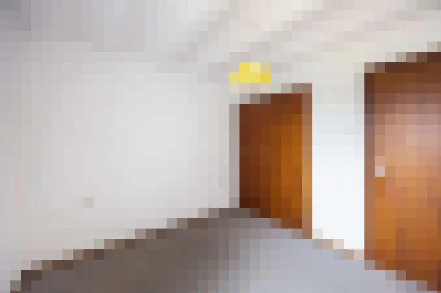 Kasteelweg 56 Echt thumbnail 31