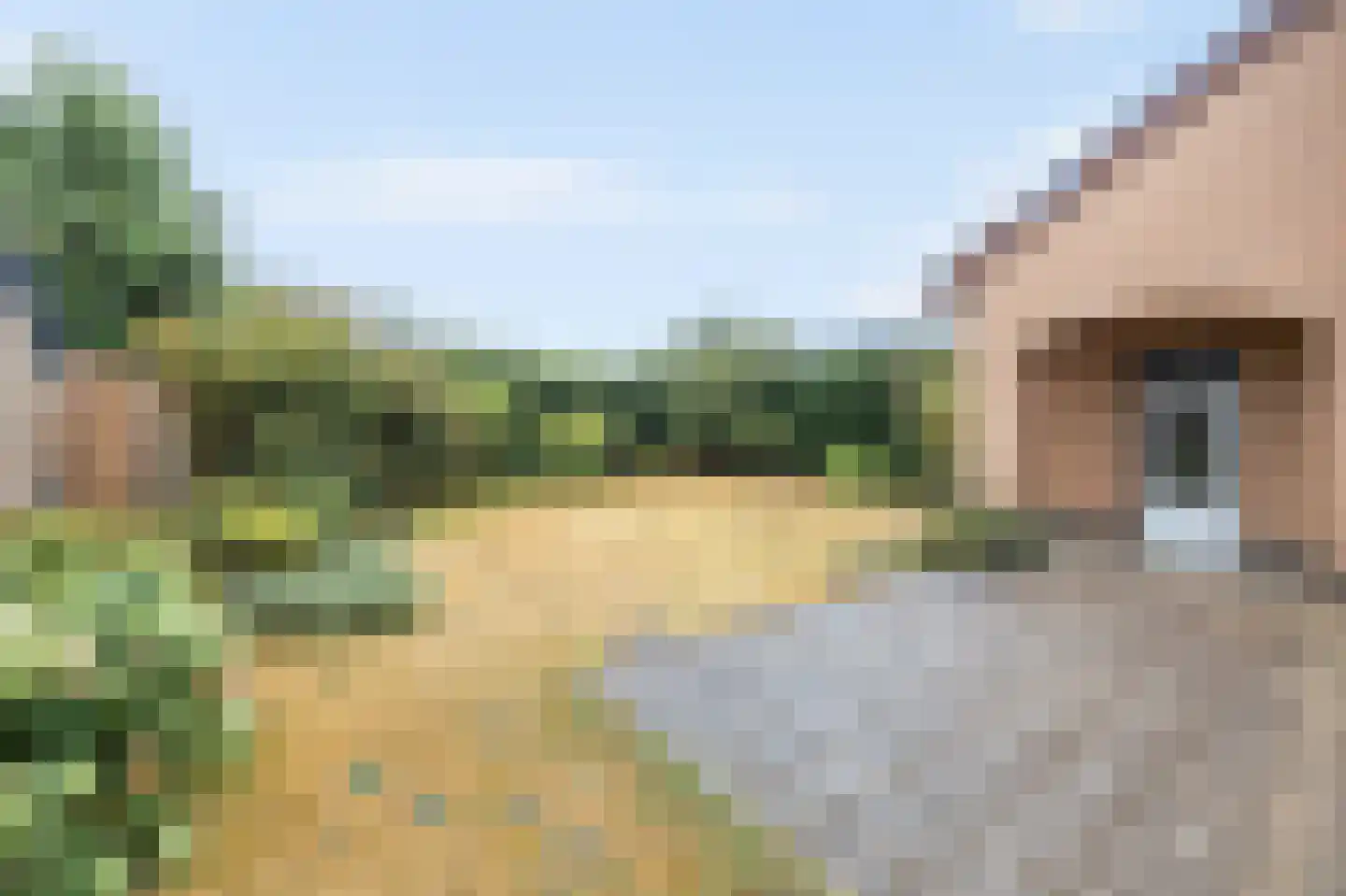 Kasteelweg 56 Echt thumbnail 4