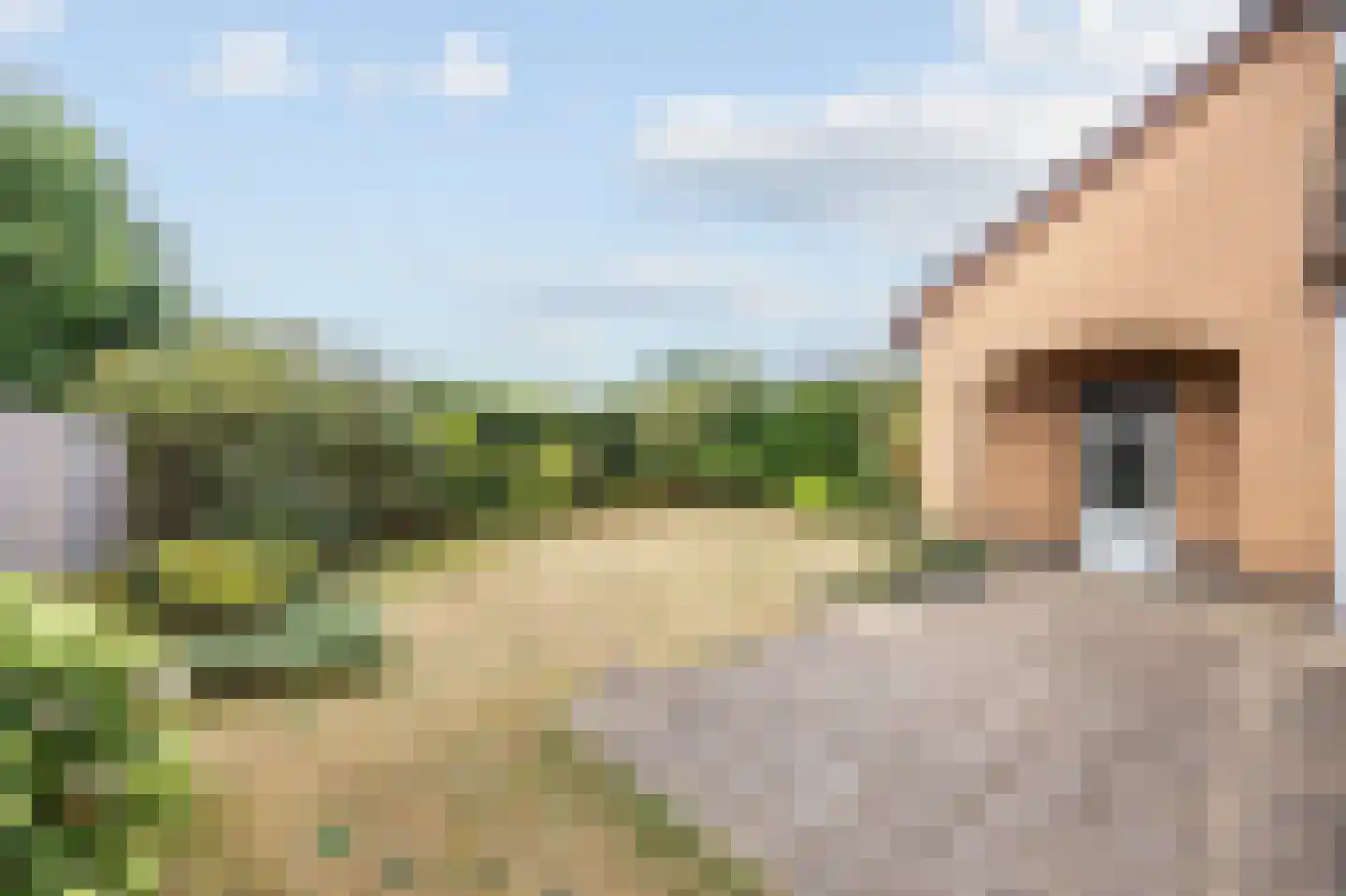 Kasteelweg 56 Echt thumbnail 42