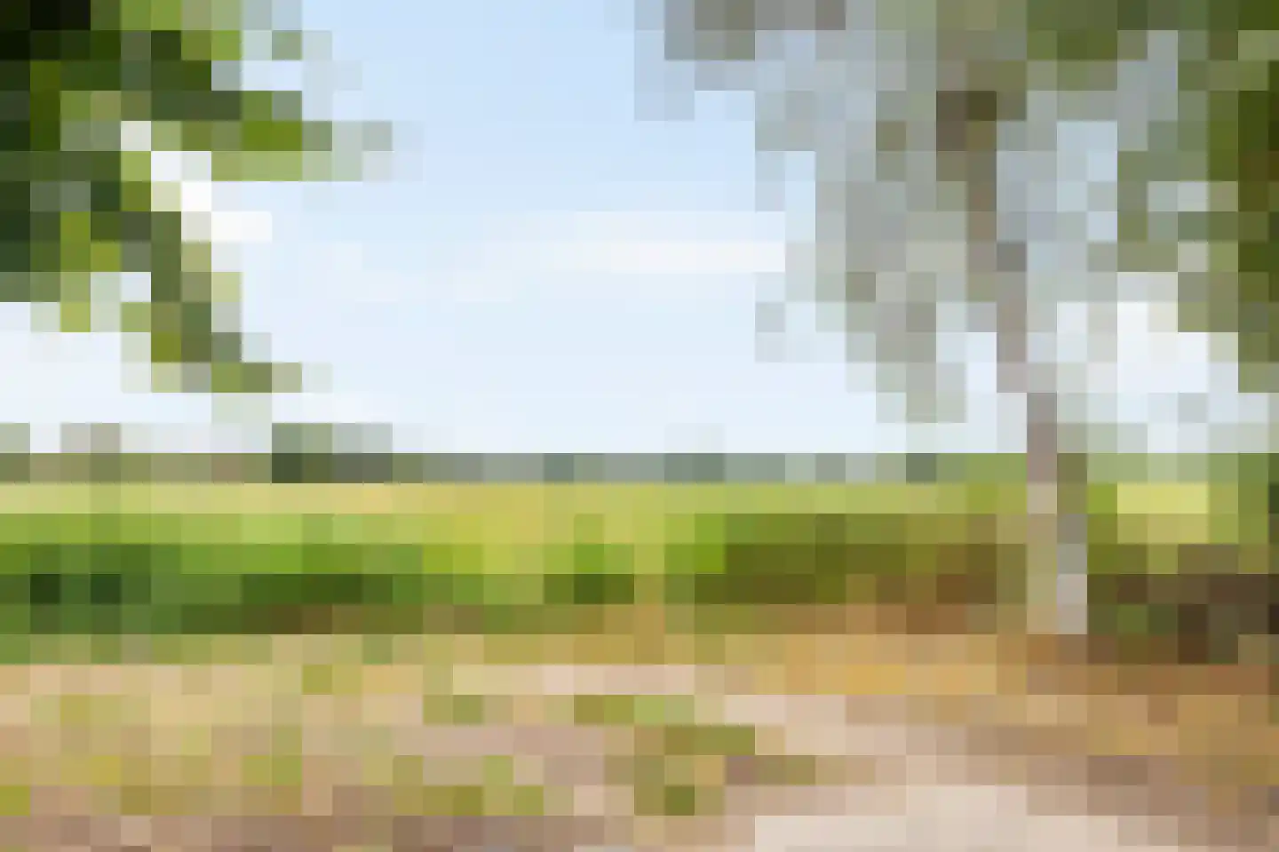 Kasteelweg 56 Echt thumbnail 46