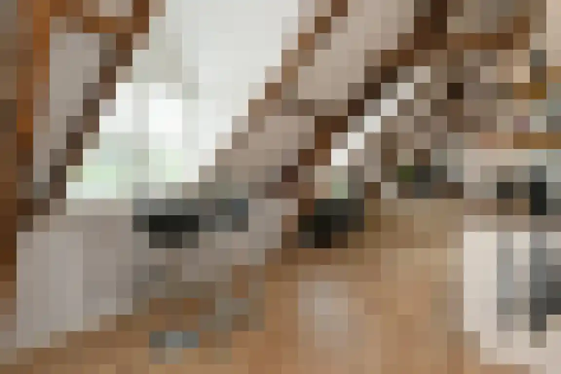 Kasteelweg 7 a Baexem thumbnail 13