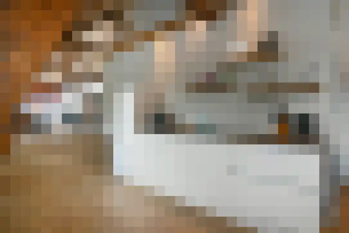 Kasteelweg 7 a Baexem thumbnail 14